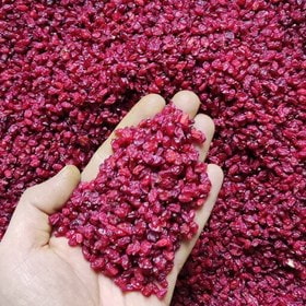 خرید زرشک نوبرانه درجه 1 + قیمت فروش استسنایی